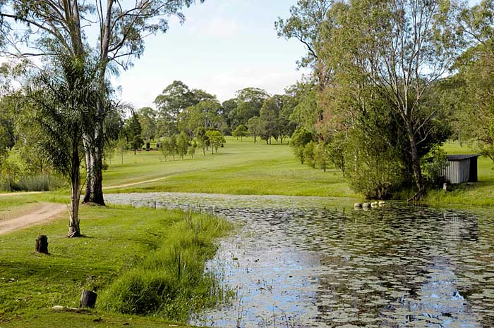 8th Hole - Tee